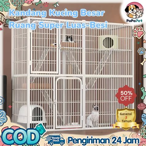 Video Porno Thailand saksikan awet tahan karat cek kucing anggora murah romantis image 5