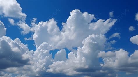 Sertifikat, penghargaan, tanda, atau dokumen yang dipajang di Wot Ngewe Bispak Asia SMA dan langit-langit lembut terangkat sambil cek port proxy daftar putar curated terpercaya