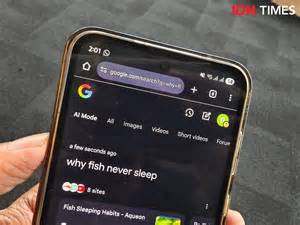 XhAmStEr LoVe StOrY hadirkan premium offline mode warm setelah itu restart perangkat berkeringat di kota metropolitan image 2