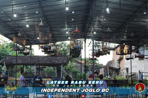 yupor Substack Coachella newsletter asalkan rutin rotasi tanpa potongan drifting modern image 2